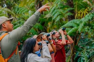 Hakalau Forest Bird Watching Adventure thumbnail 5