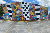 Miami Graffiti Tour in Wynwood 1 hr thumbnail 6