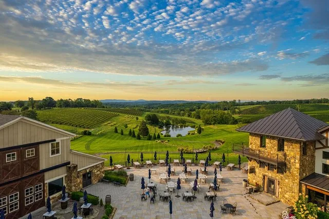 Washington DC Wine Tour to Loudoun County Vineyards - Image 1