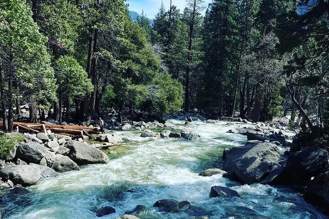 Yosemite Valley Tour with Hotel Pickup - Image 4