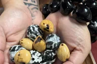 Maui Kukui Nut Bracelet Craft Class thumbnail 2
