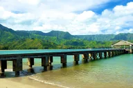 Kauai River Cruise and Lighthouse Tour thumbnail 6