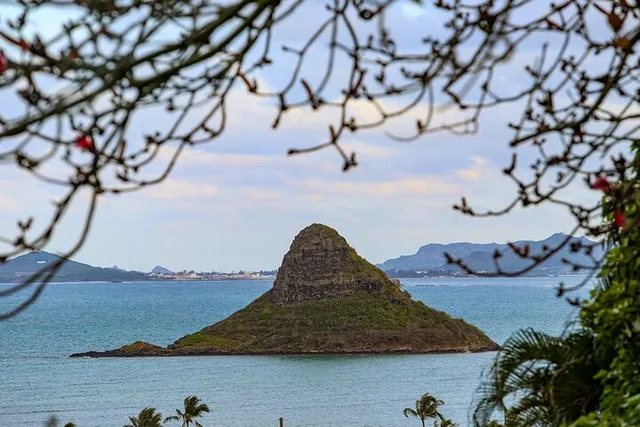 Oahu Half Circle Island Tour with Pickup - Image 4