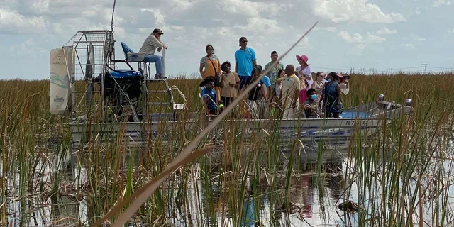 Miami Everglades Airboat Tour with Water Taxi - Image 6