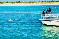 Panama City Beach Snorkel Excursion at Shell Island thumbnail 5
