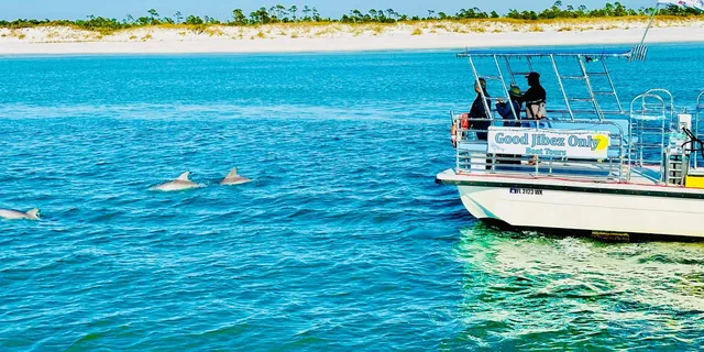 Panama City Beach Snorkel Excursion at Shell Island - Image 5