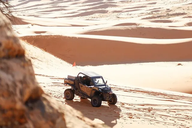 Coral Pink Sand Dunes UTV and Rappelling Adventure - Image 4