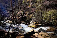 Atlanta Wine and Dine Private Tour thumbnail 6