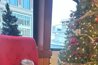 Boston Harbor Santa Brunch Cruise thumbnail 4