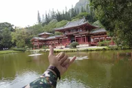 Oahu Circle Island Guided Tour thumbnail 3