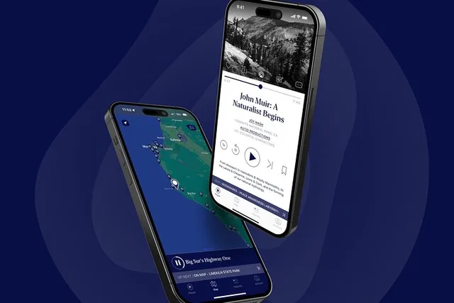 Tampa Virtual Tour with Local Stories - Image 5
