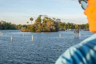 Crystal River Eco Cruise thumbnail 4