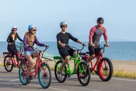 Dana Point Electric Bike Rentals thumbnail 5