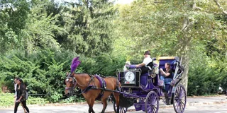 New York City Horse-Drawn Carriage Ride