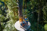 Kohala Canopy Zipline Adventure in Big Island thumbnail 3