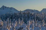 Anchorage Winter Wonderland Photo Tour 4 hr thumbnail 2