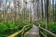 Everglades National Park Self-Guided Audio Tour thumbnail 6