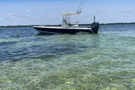 Panama City Beach Dolphin and Eco Tour thumbnail 4