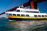 San Francisco City Bus Tour and Bay Cruise thumbnail 1