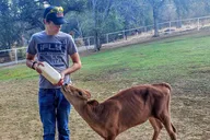 Blossom Peak Farm Tour thumbnail 1