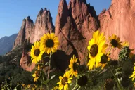 Colorado Springs Garden of the Gods Jeep Tour thumbnail 2