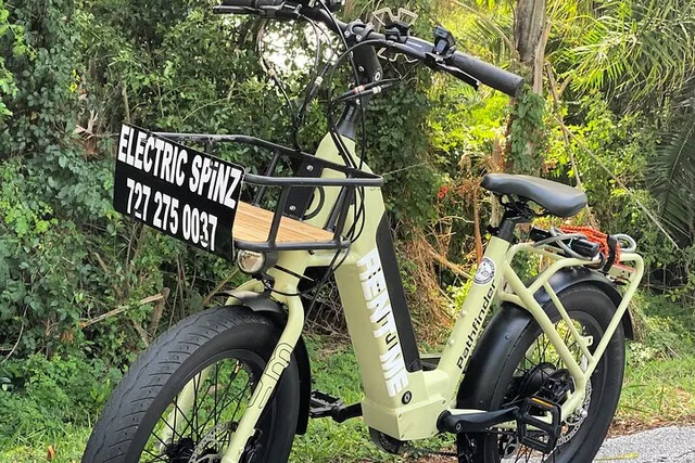 St. Petersburg Electric Bike Rental - Image 1
