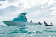 Honolulu Kayak, Snorkel, and Surf with Turtles thumbnail 3