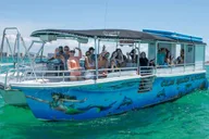 Destin Crab Island Swim Trip thumbnail 1