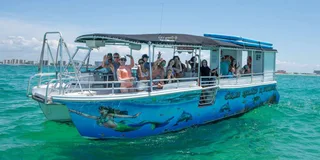 Destin Crab Island Swim Trip