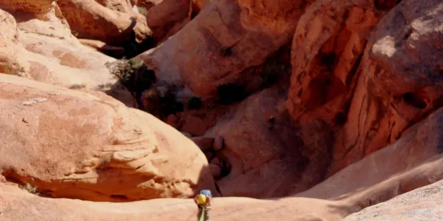Moab Rappelling Tour in Dad Gum Canyon - Image 3