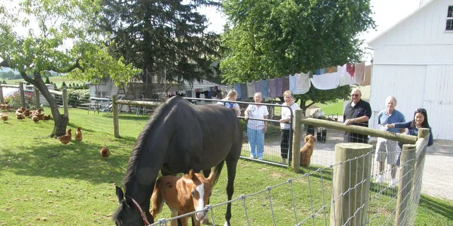 Lancaster Amish Experience Tour 3 hr - Image 3