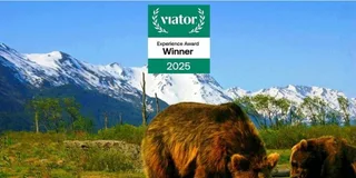 Anchorage Glacier View & Wildlife Adventure Tour 7 hr
