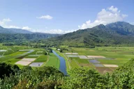 Kauai Movie Sites Tour thumbnail 1