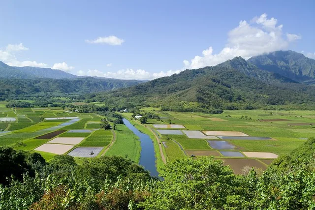 Kauai Movie Sites Tour - Image 1