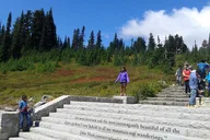 Seattle Mount Rainier Tour thumbnail 4