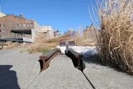 New York High Line Park Walking Tour thumbnail 1