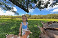 Pahoa Ranch Tour with Animal Encounters thumbnail 1