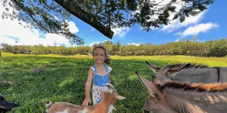 Pahoa Ranch Tour with Animal Encounters