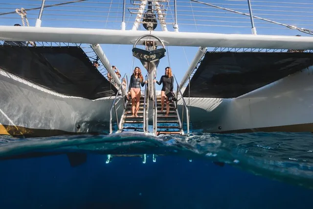 Maui Catamaran Snorkel with Turtles & Tacos - Image 1