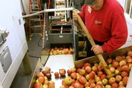 Cooperstown Fly Creek Cider Mill Tour with Owner thumbnail 5