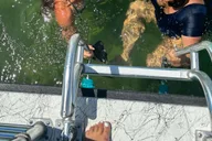 Panama City Beach Snorkel Excursion at Shell Island thumbnail 4