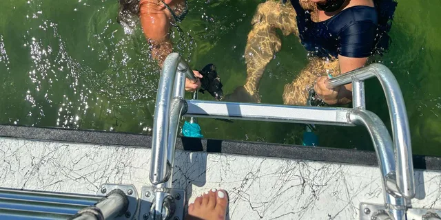 Panama City Beach Snorkel Excursion at Shell Island - Image 4