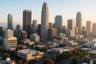Los Angeles Private Airport Transfer thumbnail 2