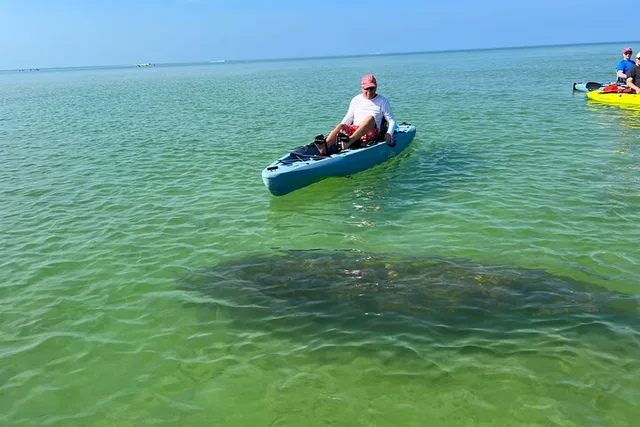 Bonita Springs Kayak EcoTour - Image 5