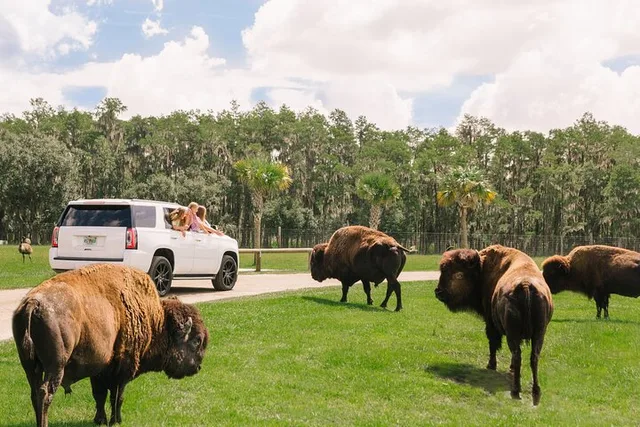 Kenansville Drive-Thru Safari and Gator Park - Image 1