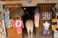 Las Vegas Route 66 Day Tour: Oatman & Kingman thumbnail 5