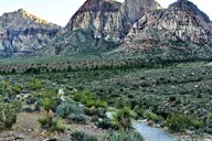 Las Vegas Red Rock Canyon and Seven Magic Mountains Tour 4 hr thumbnail 5