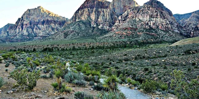 Las Vegas Red Rock Canyon and Seven Magic Mountains Tour 4 hr - Image 5