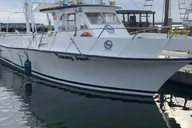 Hilton Head Island Crabbing Expedition Boat Tour thumbnail 6