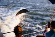 Fort Myers Beach Sunset Cruise thumbnail 2